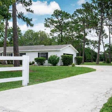 3Bdr2Bath Home In Lutz Close To Tampa, 20 Min To Stadium, Airport Extérieur photo