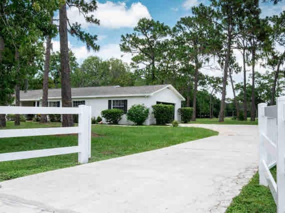 3Bdr2Bath Home In Lutz Close To Tampa, 20 Min To Stadium, Airport Extérieur photo